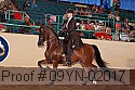 09yn-02017 proof
