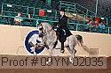 09yn-02035 proof