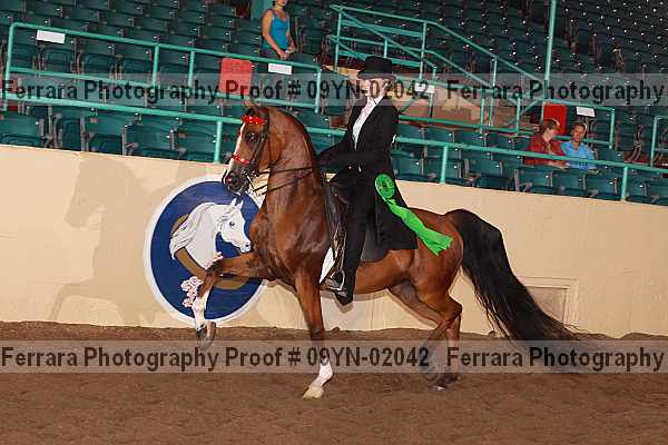Proof 09yn-02042