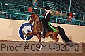 09yn-02042 proof