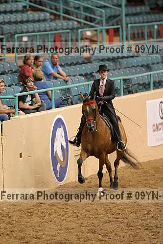 Proof 09yn-02303