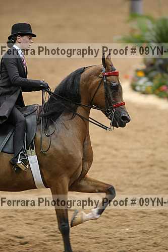 Proof 09yn-02304