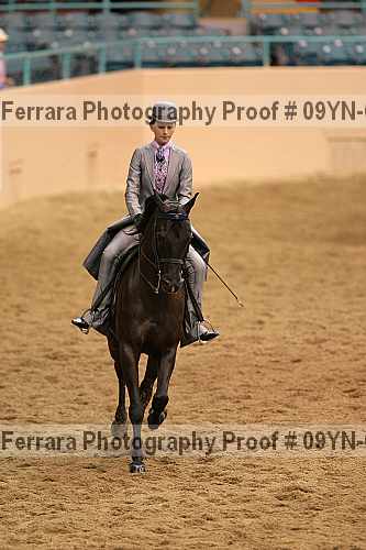 Proof 09yn-02308