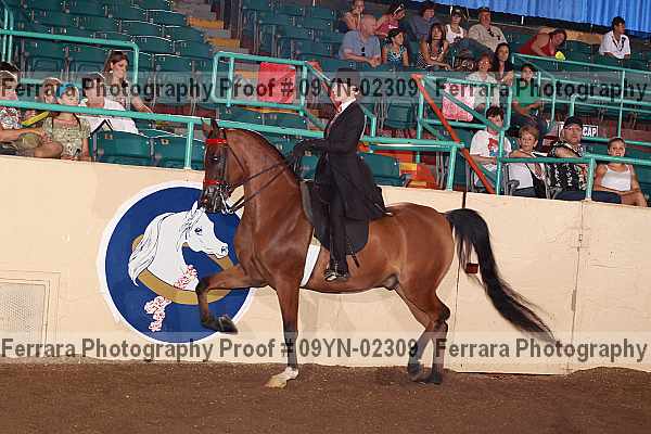 Proof 09yn-02309
