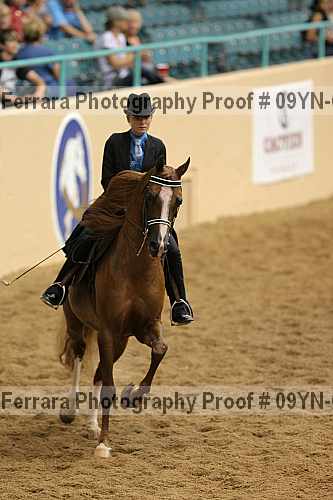 Proof 09yn-02313