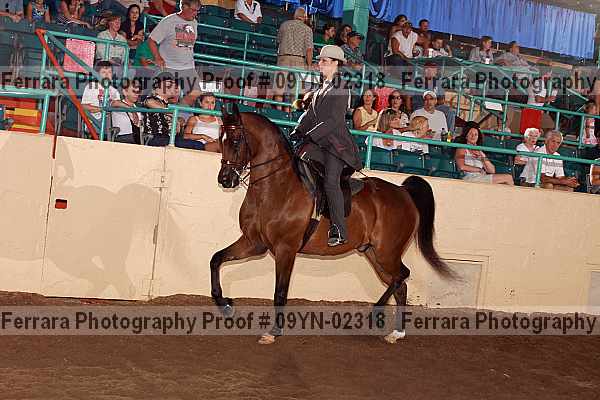Proof 09yn-02318