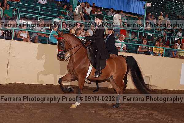 Proof 09yn-02321