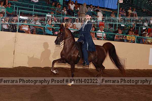 Proof 09yn-02322