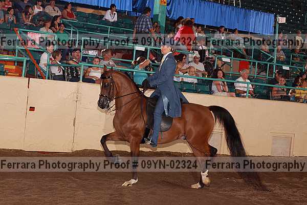 Proof 09yn-02324