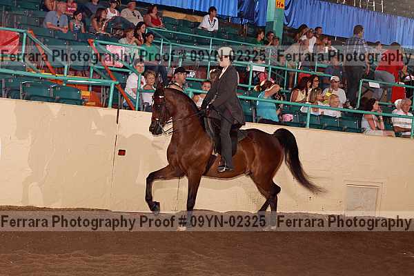 Proof 09yn-02325
