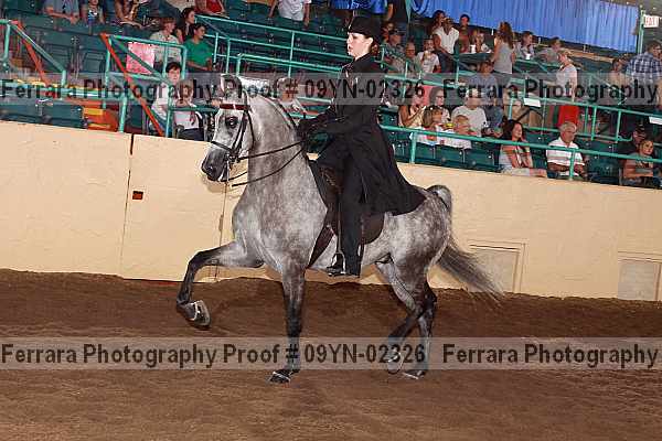Proof 09yn-02326