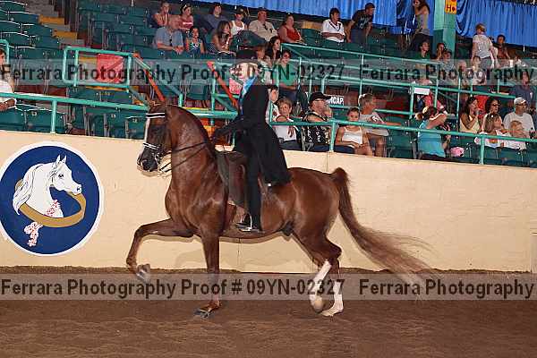 Proof 09yn-02327
