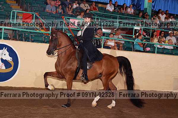 Proof 09yn-02328