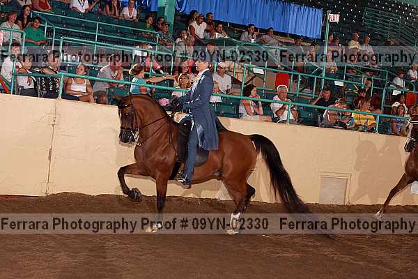 Proof 09yn-02330