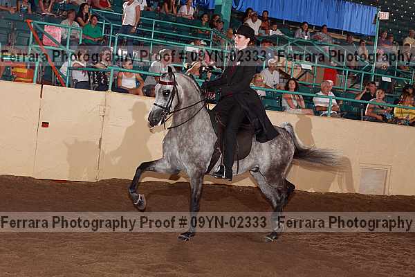 Proof 09yn-02333