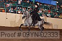 09yn-02333 proof