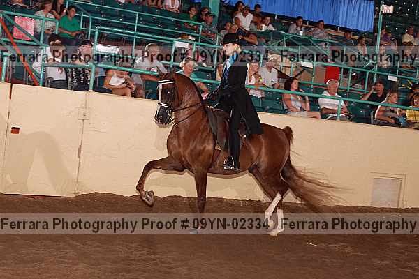 Proof 09yn-02334