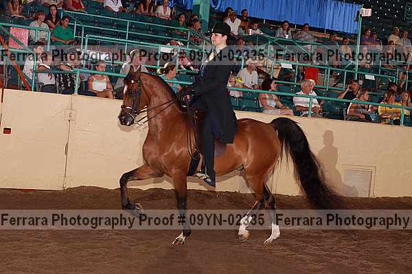 Proof 09yn-02335