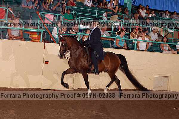 Proof 09yn-02338
