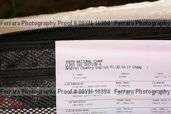 Proof 09yn-10394