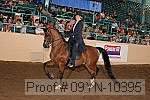 09yn-10395 proof