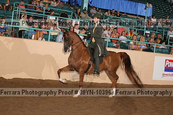 Proof 09yn-10396