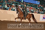 09yn-10396 proof