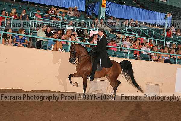 Proof 09yn-10397