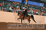 09yn-10397 proof