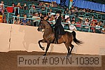 09yn-10398 proof