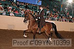 09yn-10399 proof