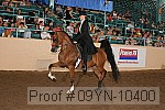 09yn-10400 proof