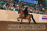09yn-10401 proof