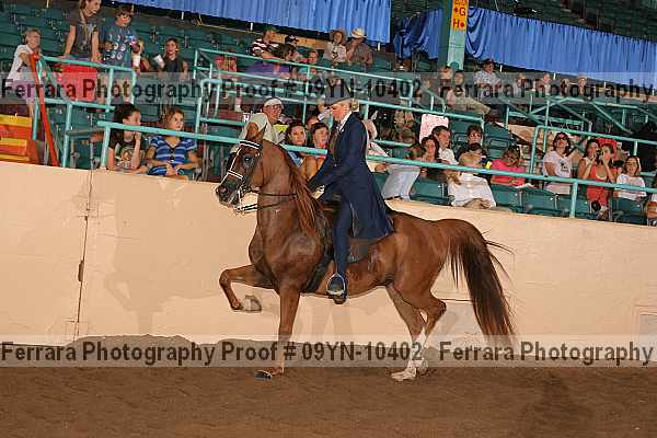 Proof 09yn-10402