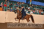 09yn-10402 proof