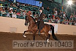 09yn-10403 proof