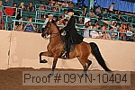 09yn-10404 proof