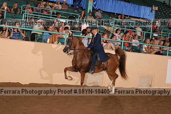 Proof 09yn-10405