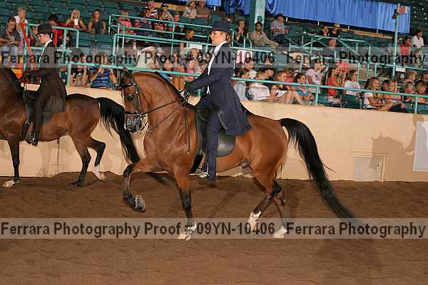 Proof 09yn-10406