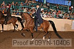 09yn-10406 proof