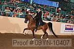09yn-10407 proof