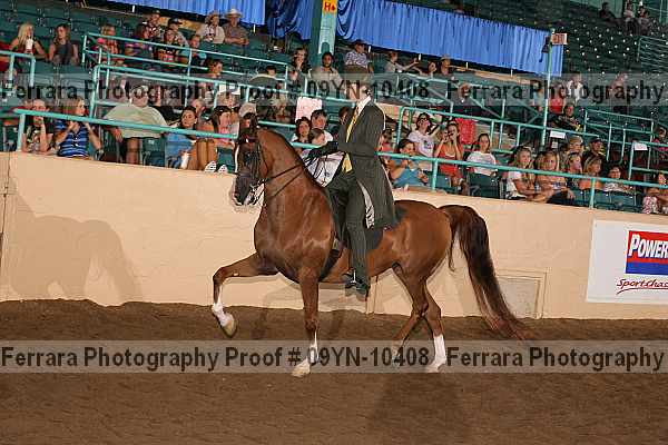 Proof 09yn-10408