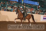 09yn-10408 proof