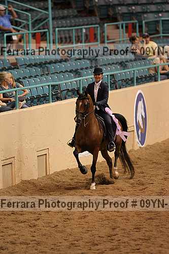 Proof 09yn-10410