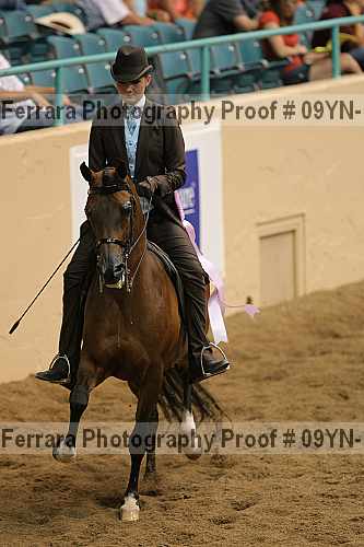 Proof 09yn-10413