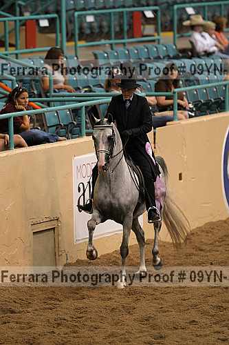 Proof 09yn-10415