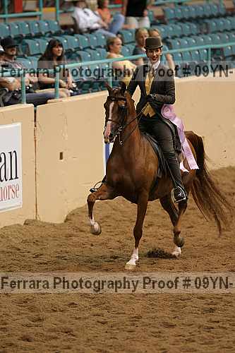 Proof 09yn-10419