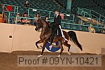 09yn-10421 proof
