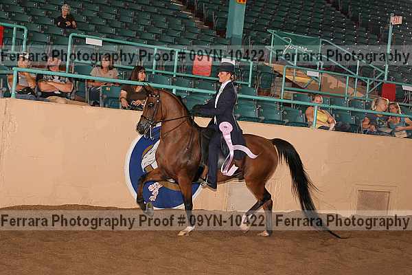 Proof 09yn-10422