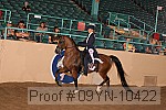 09yn-10422 proof